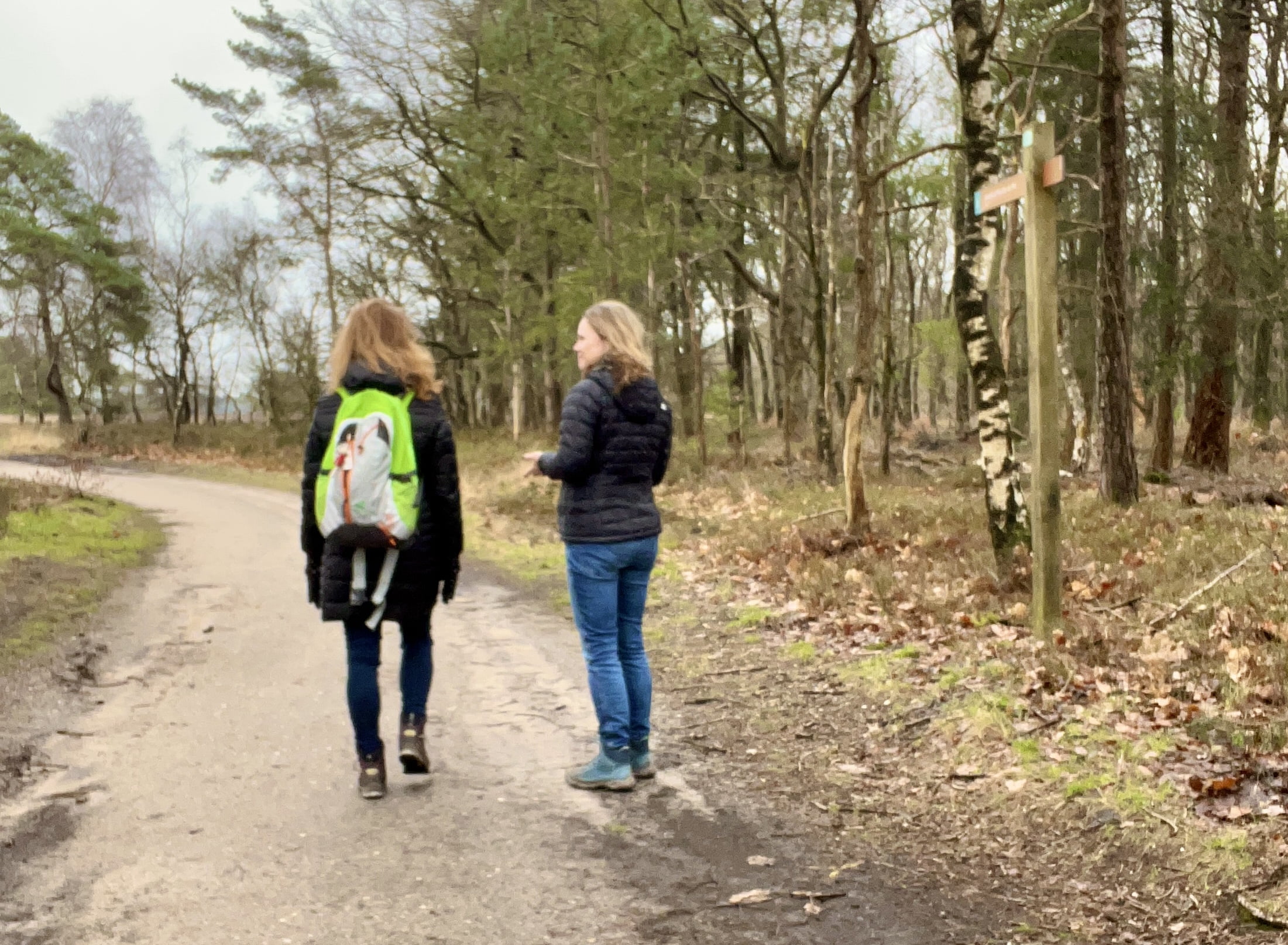 Peace of Mind van Kim Voets, natuurcoaching Drenthe