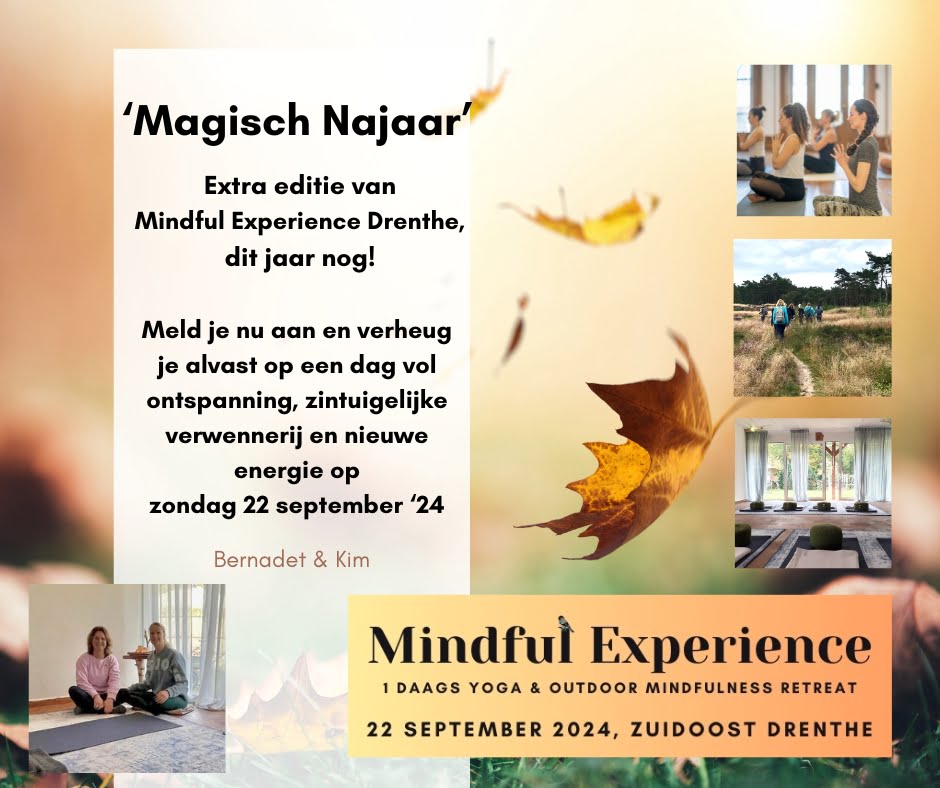 Mindful Experience 3 'Magisch najaar' 